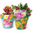 4M KidzMaker - Paint Your Own Terracotta Flower Pots