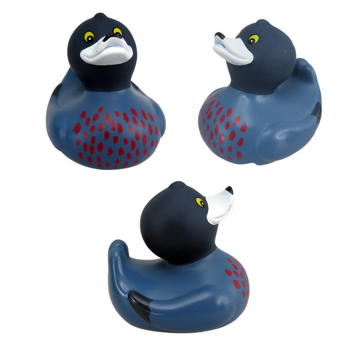 Antics: Bath Duck NZ Blue Duck Whio Whio