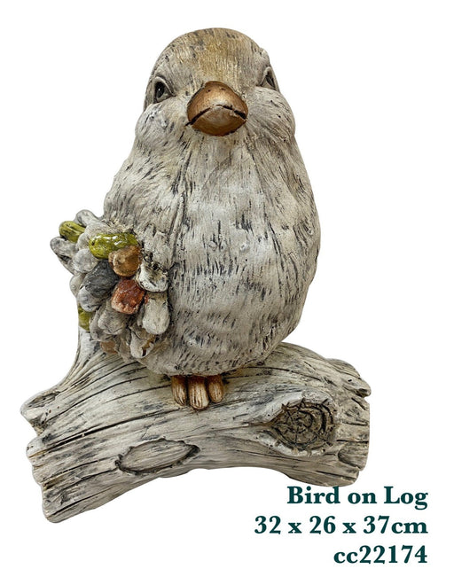 JGB - Bird on Log