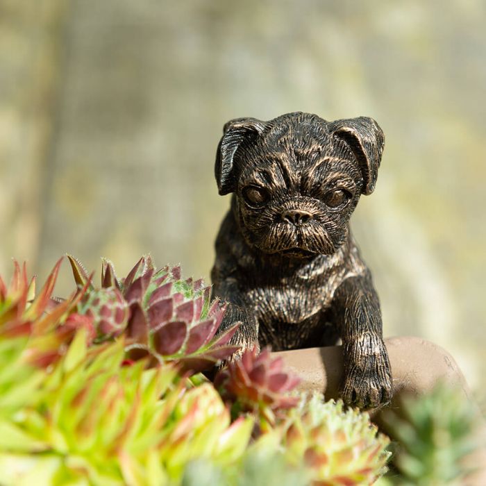 Jardinopia Pot Buddies - Antique Bronze Pug