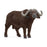 Schleich - African Buffalo