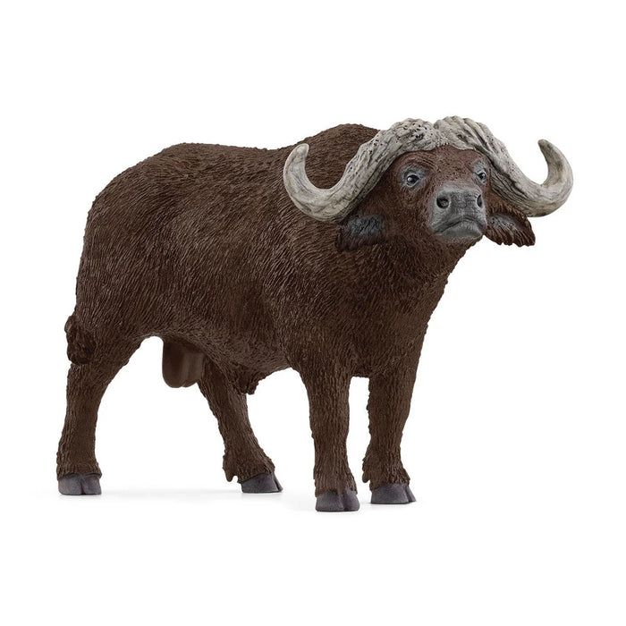 Schleich - African Buffalo