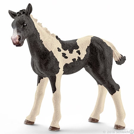 Schleich - Pinto Foal (new)