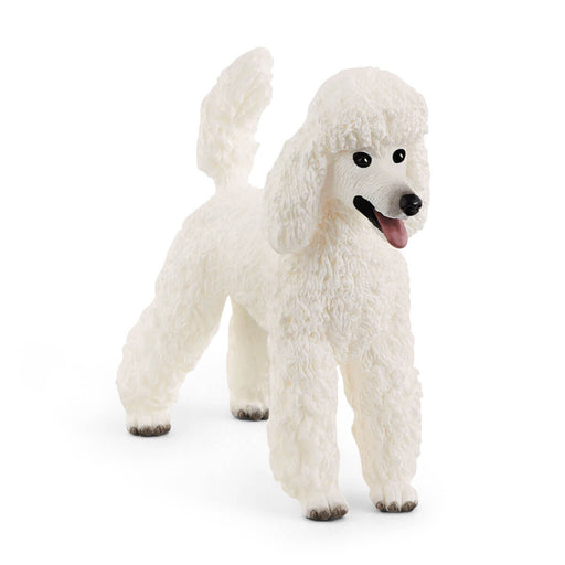 Schleich - Poodle