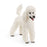 Schleich - Poodle