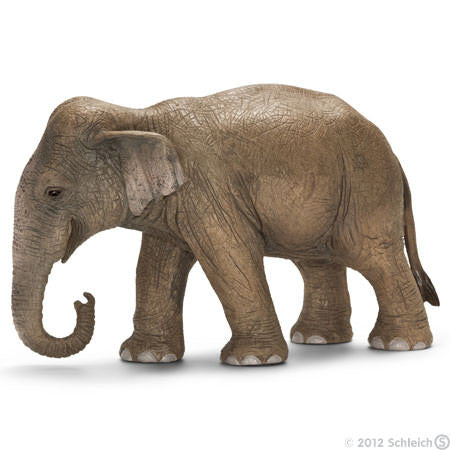 Schleich - Asian elephant, female