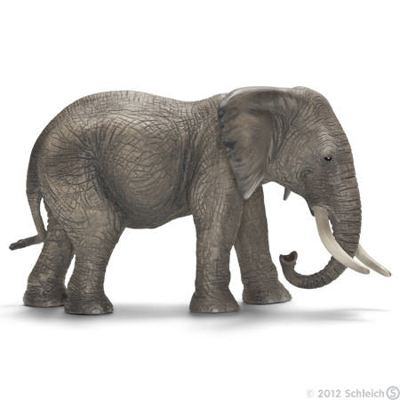 Schleich - African elephant, female