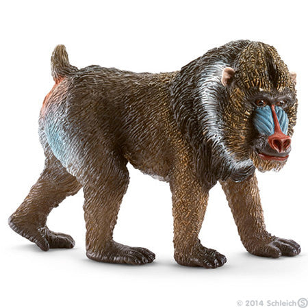 Schleich - Mandrill, Male