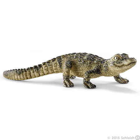 Schleich - Baby Alligator