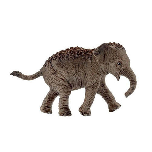 Schleich - Asian Elephant Calf