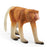 Schleich - Proboscis Monkey