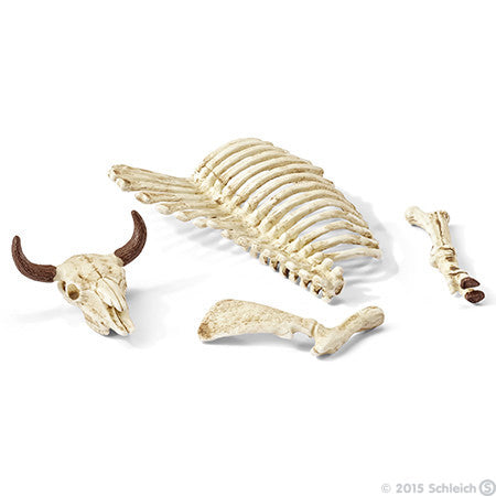 Schleich - Bones