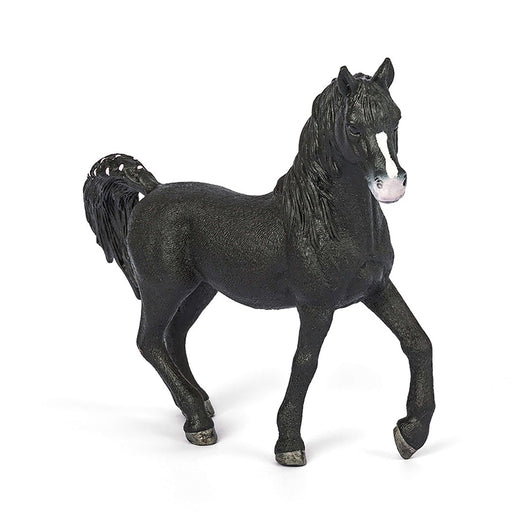 Schleich - Araber Stallion (Exclusive)