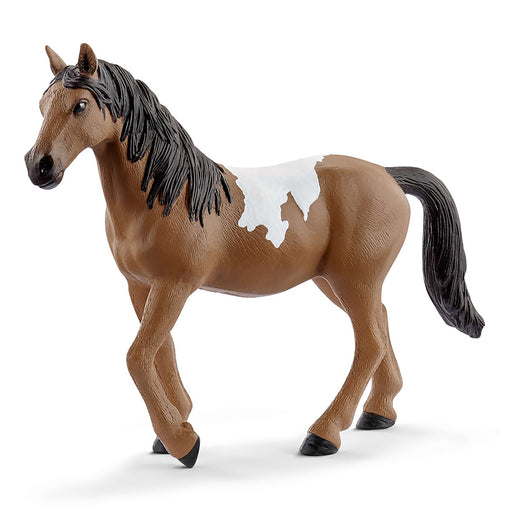 Schleich - Pinto Mare (Exclusive