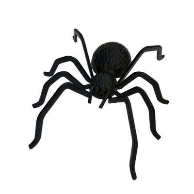 Animals - Incy Wincy Spider