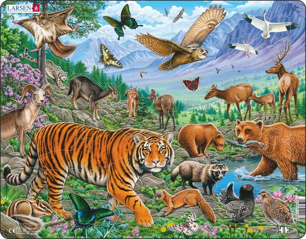 Larsen Puzzle - The Amur Tiger in Siberian Summer