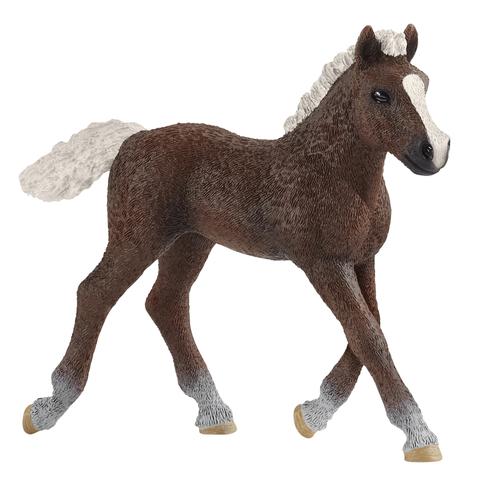 Schleich - Black Forest Foal