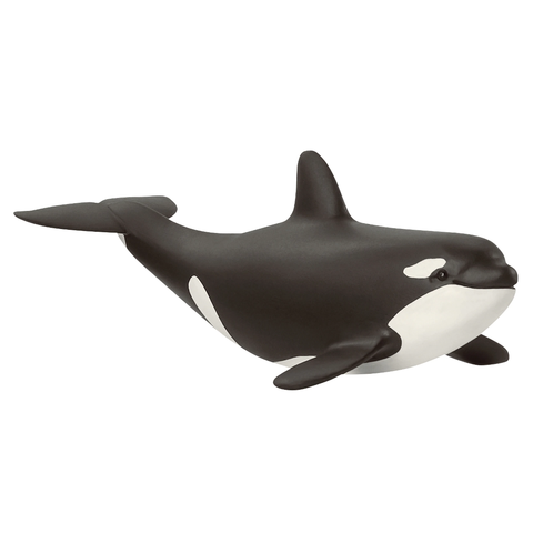 Schleich - Baby Orca