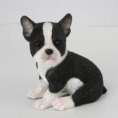 Animals: Sitting Boston Terrier