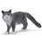 Schleich - Maine Coon Cat