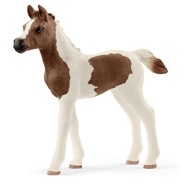 Schleich - Pintabian Foal