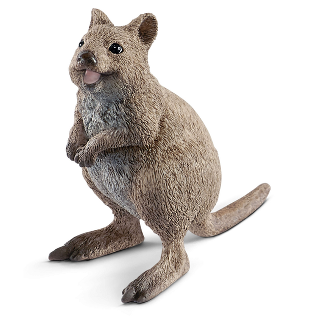 Schleich - Quokka