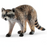 Schleich - Raccoon