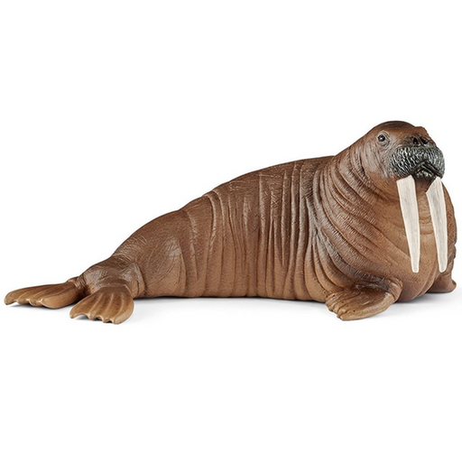 Schleich - Walrus