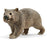 Schleich - Wombat